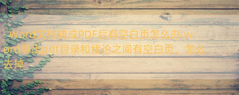 Word文档转成PDF后有空白页怎么办 word导出pdf目录和绪论之间有空白页，怎么去掉