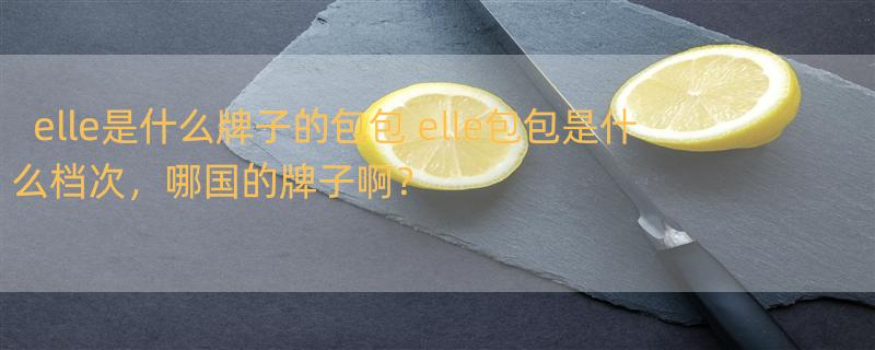 elle是什么牌子的包包 elle包包是什么档次，哪国的牌子啊？