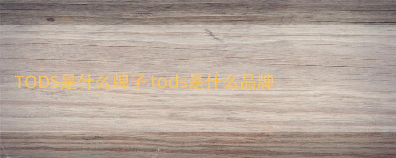 TODS是什么牌子 tods是什么品牌