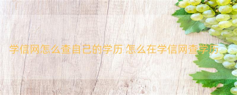 学信网怎么查自己的学历 怎么在学信网查学历