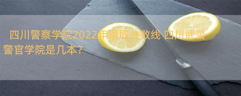 四川警察学院2022年录取分数线 四川武警警官学院是几本？