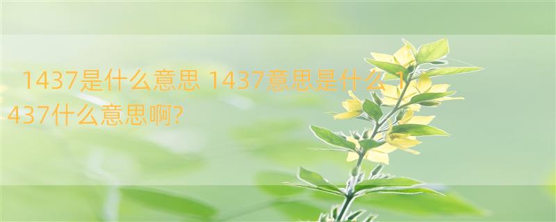 1437是什么意思 1437意思是什么 1437什么意思啊?