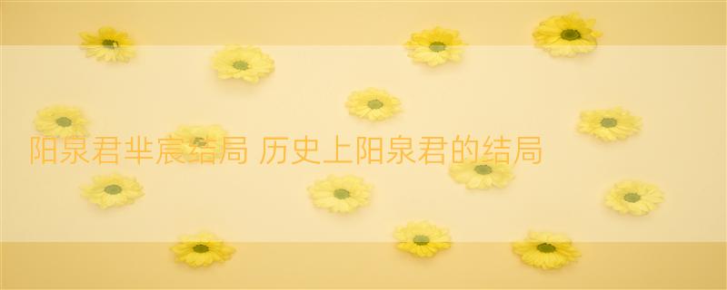 阳泉君芈宸结局 历史上阳泉君的结局