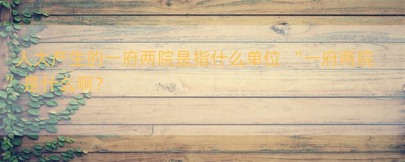 人大产生的一府两院是指什么单位 “一府两院”是什么啊？