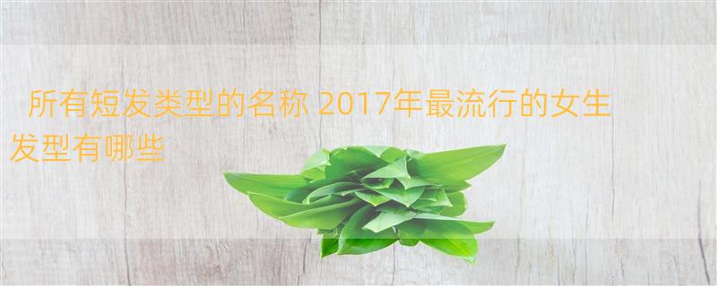 所有短发类型的名称 2017年最流行的女生发型有哪些