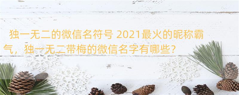 独一无二的微信名符号 2021最火的昵称霸气，独一无二带梅的微信名字有哪些？