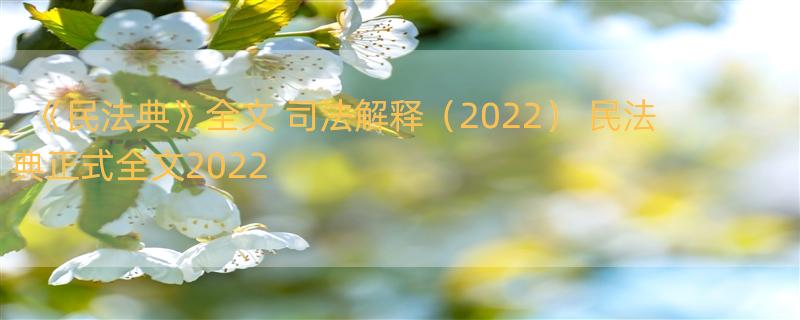 《民法典》全文+司法解释（2022） 民法典正式全文2022