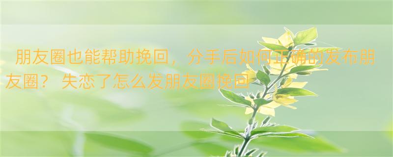 朋友圈也能帮助挽回，分手后如何正确的发布朋友圈？ 失恋了怎么发朋友圈挽回