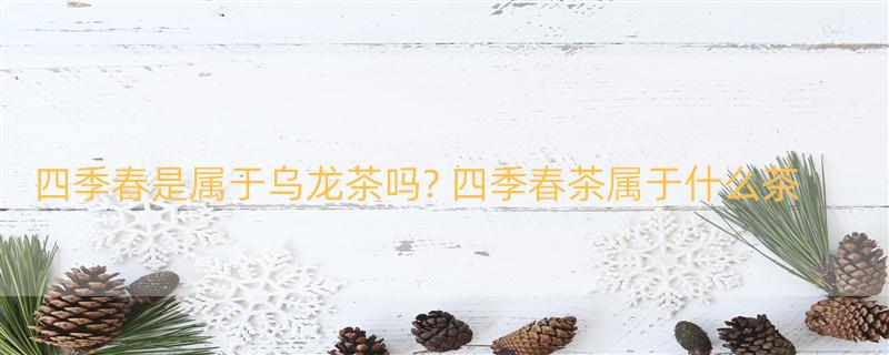 四季春是属于乌龙茶吗? 四季春茶属于什么茶