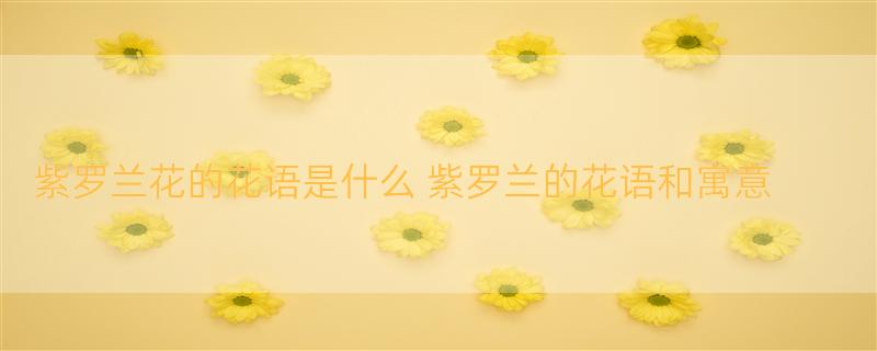 紫罗兰花的花语是什么 紫罗兰的花语和寓意