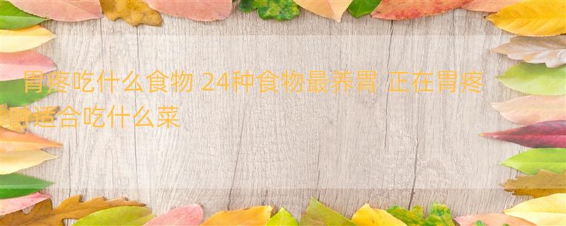 胃疼吃什么食物 24种食物最养胃 正在胃疼时适合吃什么菜