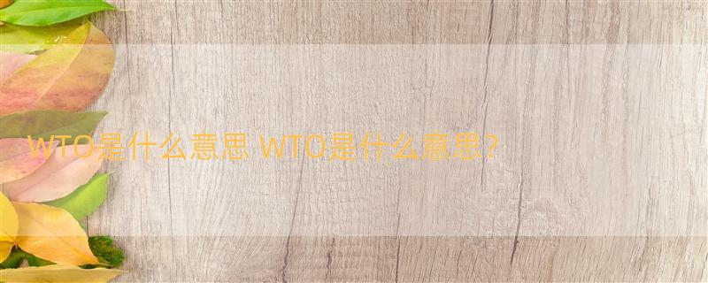 WTO是什么意思 WTO是什么意思？