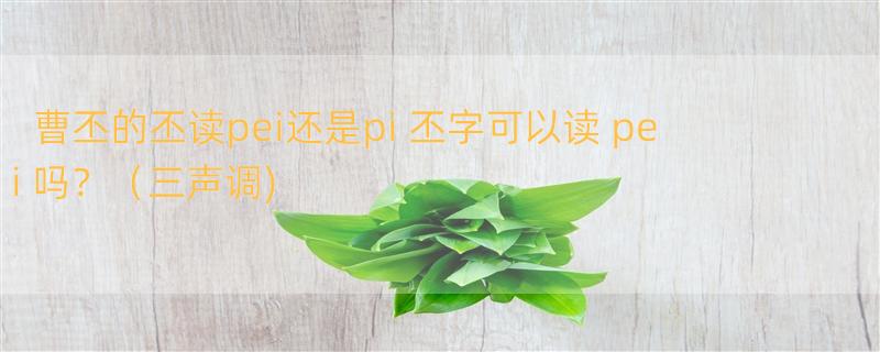 曹丕的丕读pei还是pi 丕字可以读 pei 吗？（三声调)