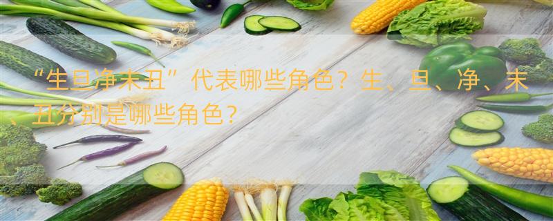 生旦净末丑分别指什么？ “生旦净末丑”各是什么意思？指什么？