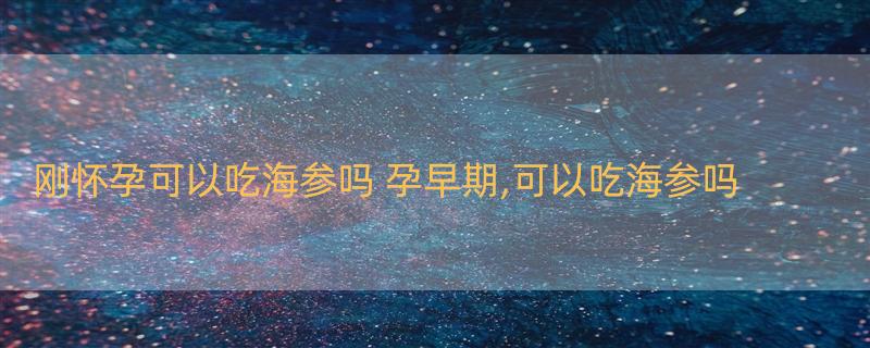 刚怀孕可以吃海参吗 孕早期,可以吃海参吗