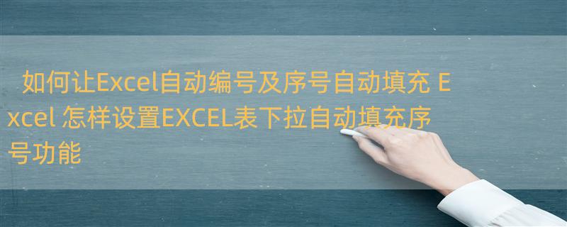 如何让Excel自动编号及序号自动填充 Excel 怎样设置EXCEL表下拉自动填充序号功能