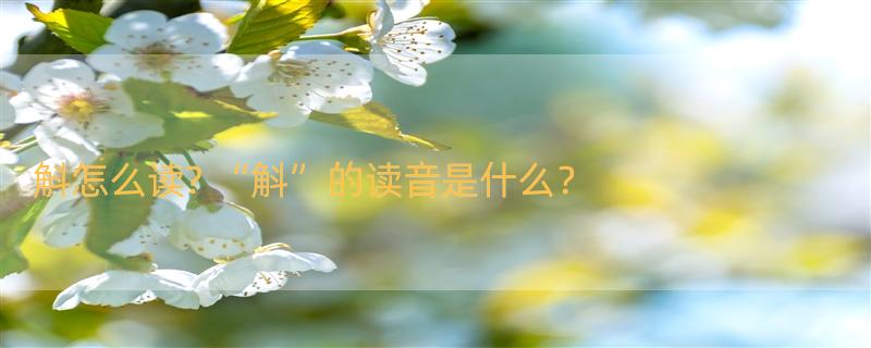 斛怎么读? “斛”的读音是什么？