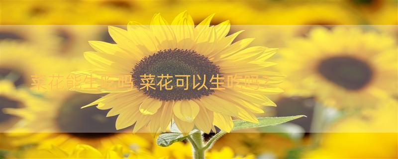 菜花能生吃吗 菜花可以生吃吗？