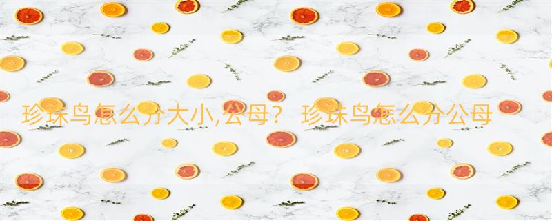 珍珠鸟怎么分大小,公母？ 珍珠鸟怎么分公母