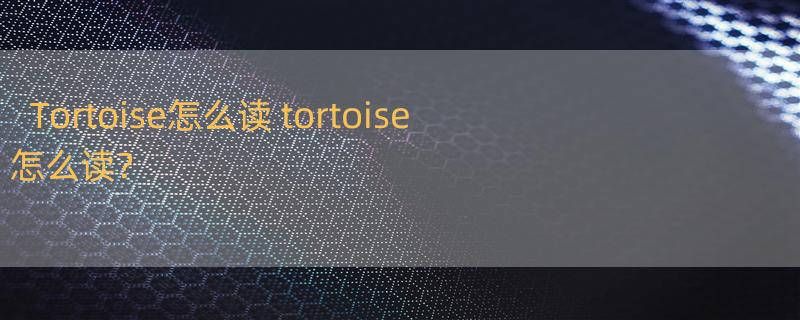 Tortoise怎么读 tortoise 怎么读？