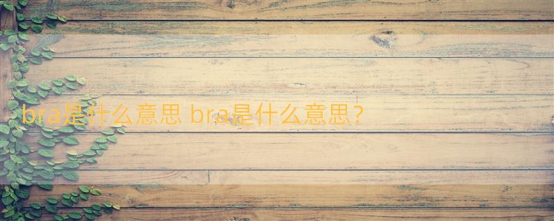 bra是什么意思 bra是什么意思？