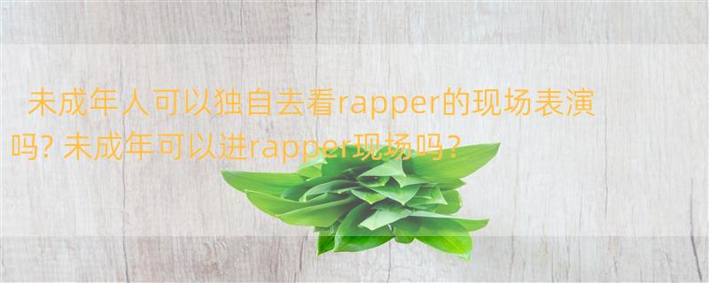 未成年人可以独自去看rapper的现场表演吗? 未成年可以进rapper现场吗？