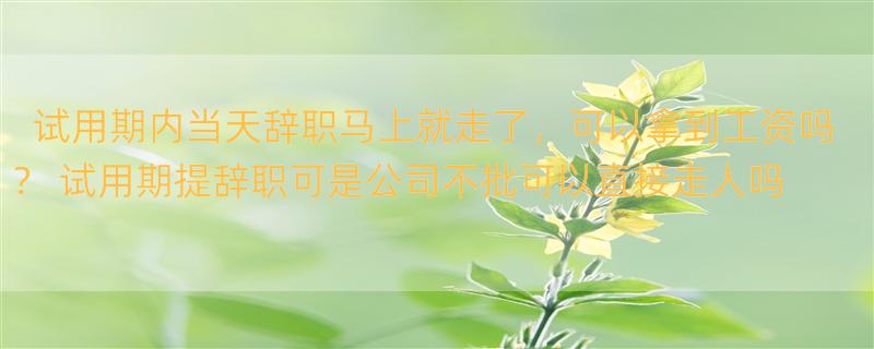 试用期内当天辞职马上就走了，可以拿到工资吗？ 试用期提辞职可是公司不批可以直接走人吗