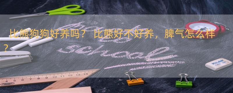 比熊狗狗好养吗？ 比熊好不好养，脾气怎么样？