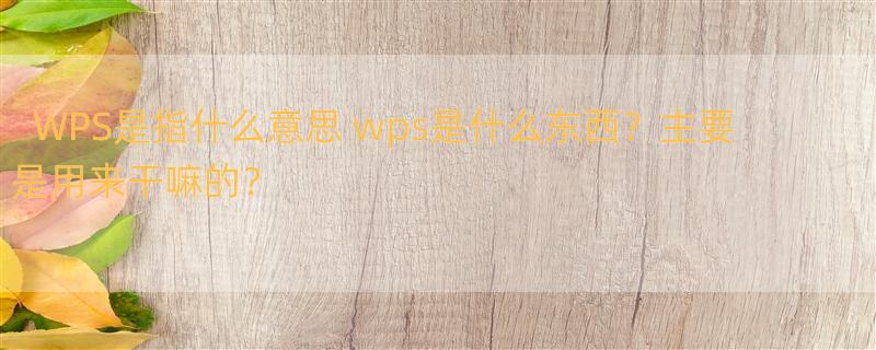 WPS是指什么意思 wps是什么东西？主要是用来干嘛的？