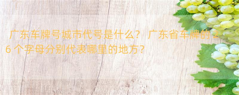 广东车牌号城市代号是什么？ 广东省车牌的２６个字母分别代表哪里的地方？