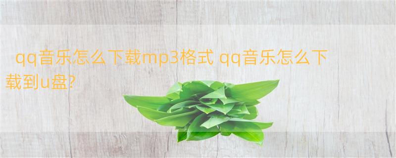 qq音乐怎么下载mp3格式 qq音乐怎么下载到u盘?