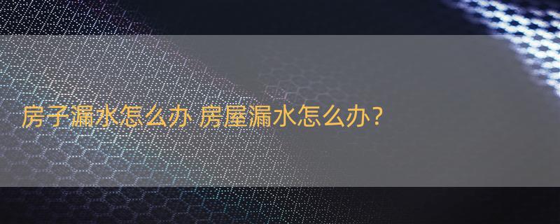 房子漏水怎么办 房屋漏水怎么办？