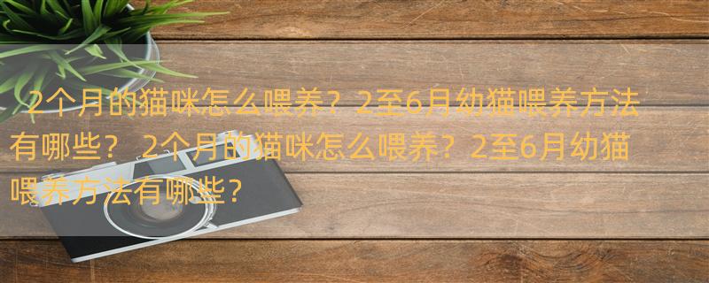 2个月的猫咪怎么喂养？2至6月幼猫喂养方法有哪些？ 2个月的猫咪怎么喂养？2至6月幼猫喂养方法有哪些？