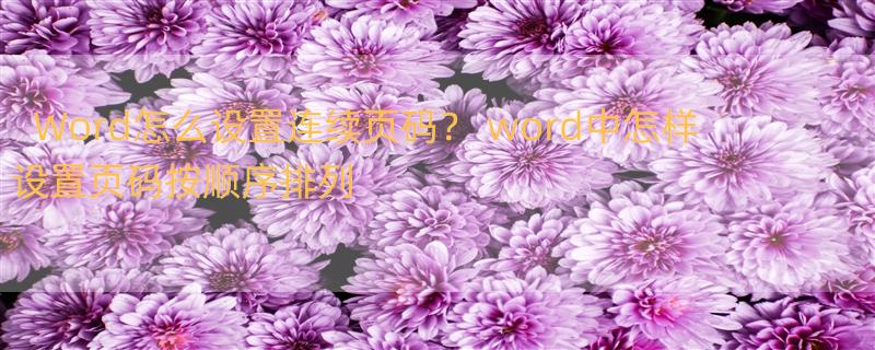 Word怎么设置连续页码？ word中怎样设置页码按顺序排列