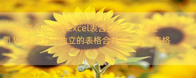 wps怎么把多个excel表合并在一个表里面 WPS 将多个独立的表格合并成一个大表格