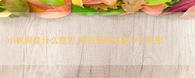 小树洞是什么意思 网络语树洞是什么意思