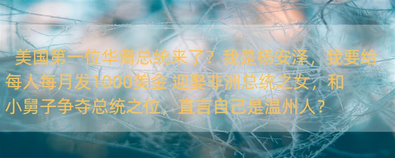 美国第一位华裔总统来了？我是杨安泽，我要给每人每月发1000美金 迎娶非洲总统之女，和小舅子争夺总统之位，直言自己是温州人？