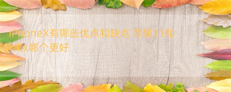 iPhoneX有哪些优点和缺点 苹果11和苹果x哪个更好