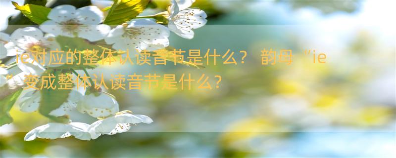 ie对应的整体认读音节是什么？ 韵母“ie”变成整体认读音节是什么？