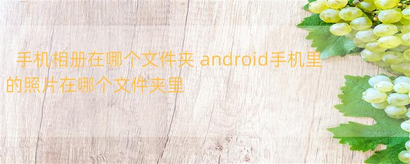 手机相册在哪个文件夹 android手机里的照片在哪个文件夹里