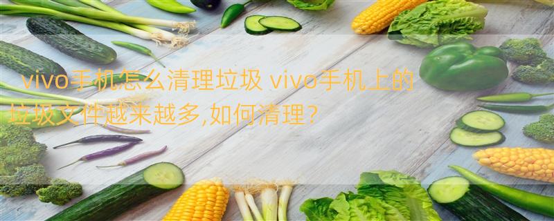 vivo手机怎么清理垃圾 vivo手机上的垃圾文件越来越多,如何清理？