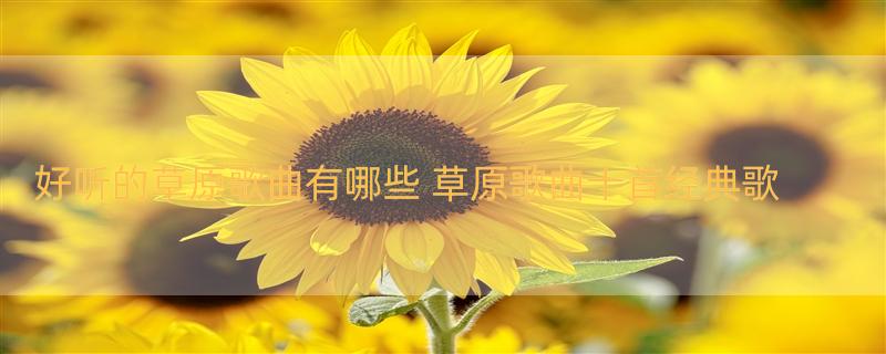 好听的草原歌曲有哪些 草原歌曲十首经典歌