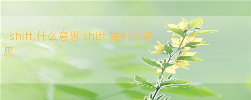 shift,什么意思 shift 是什么意思